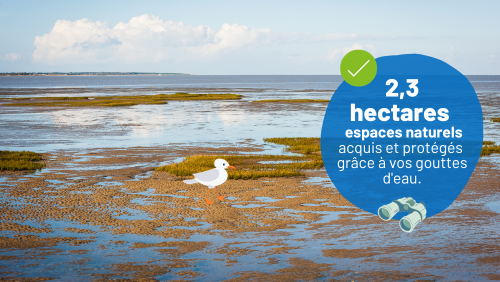 Image secondaire du projet