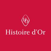 Logo Histoire_Or