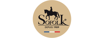 Logo RENOVATION CUIR